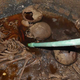 A handout picture released by the Egyptian Antiques ministry shows skeletons in the black granite sarcophagus uncovered early this month in the Sidi Gaber district of Alexandria, filled with sewage water. Thirsty?